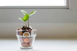 plant growing from coins in glass planter